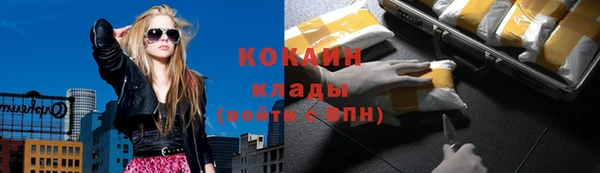 амф Алзамай