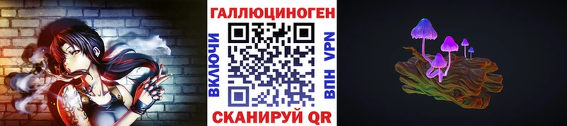Псилоцибиновые грибы Cubensis  блэк спрут зеркало  Закаменск 